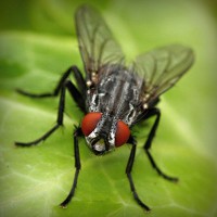 /album/matematico-loco/photolia-a01-jpg/