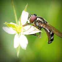 /album/matematico-loco/photolia-a02-jpg/