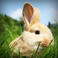 /album/matematico-loco/photolia-a03-jpg/