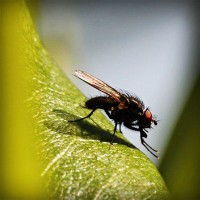 /album/matematico-loco/photolia-a04-jpg/