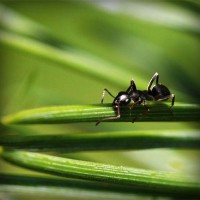 /album/matematico-loco/photolia-a05-jpg/