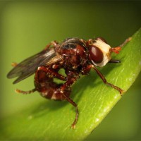 /album/matematico-loco/photolia-a06-jpg/