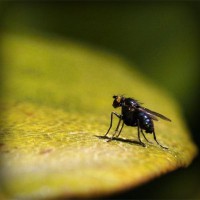 /album/matematico-loco/photolia-a07-jpg/