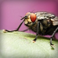 /album/matematico-loco/photolia-a08-jpg/